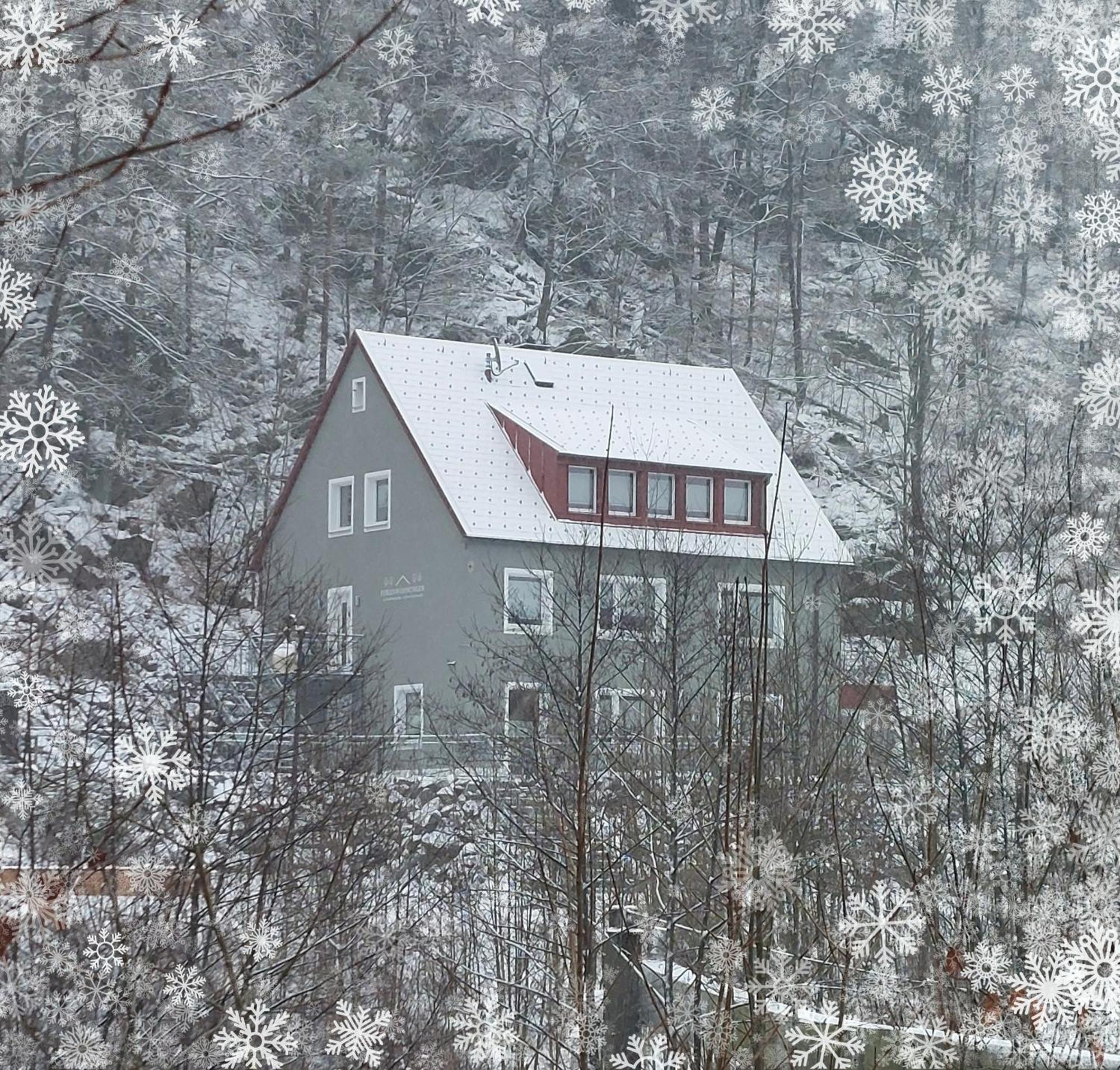 Am Quellenhaeuschen Apartment