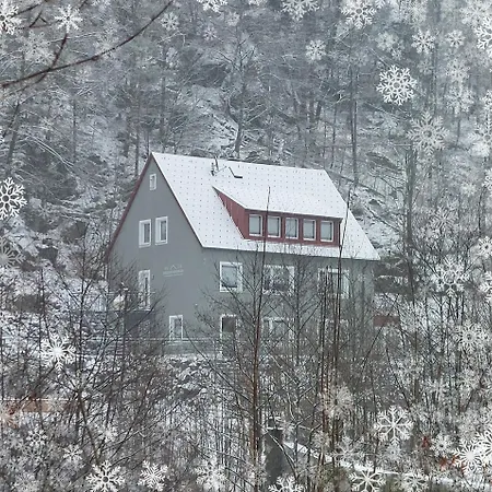Ferienwohnung Am Quellenhaeuschen Naila Exterior foto