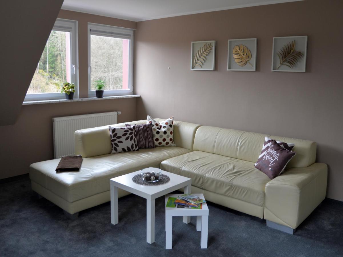 Apartment Am Quellenhaeuschen Naila